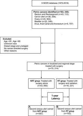 Risk and prognosis of second corpus uteri cancer after radiation therapy for pelvic cancer: A population-based analysis